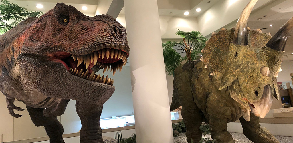 愛媛県総合科学博物館へ行ってきましたの画像