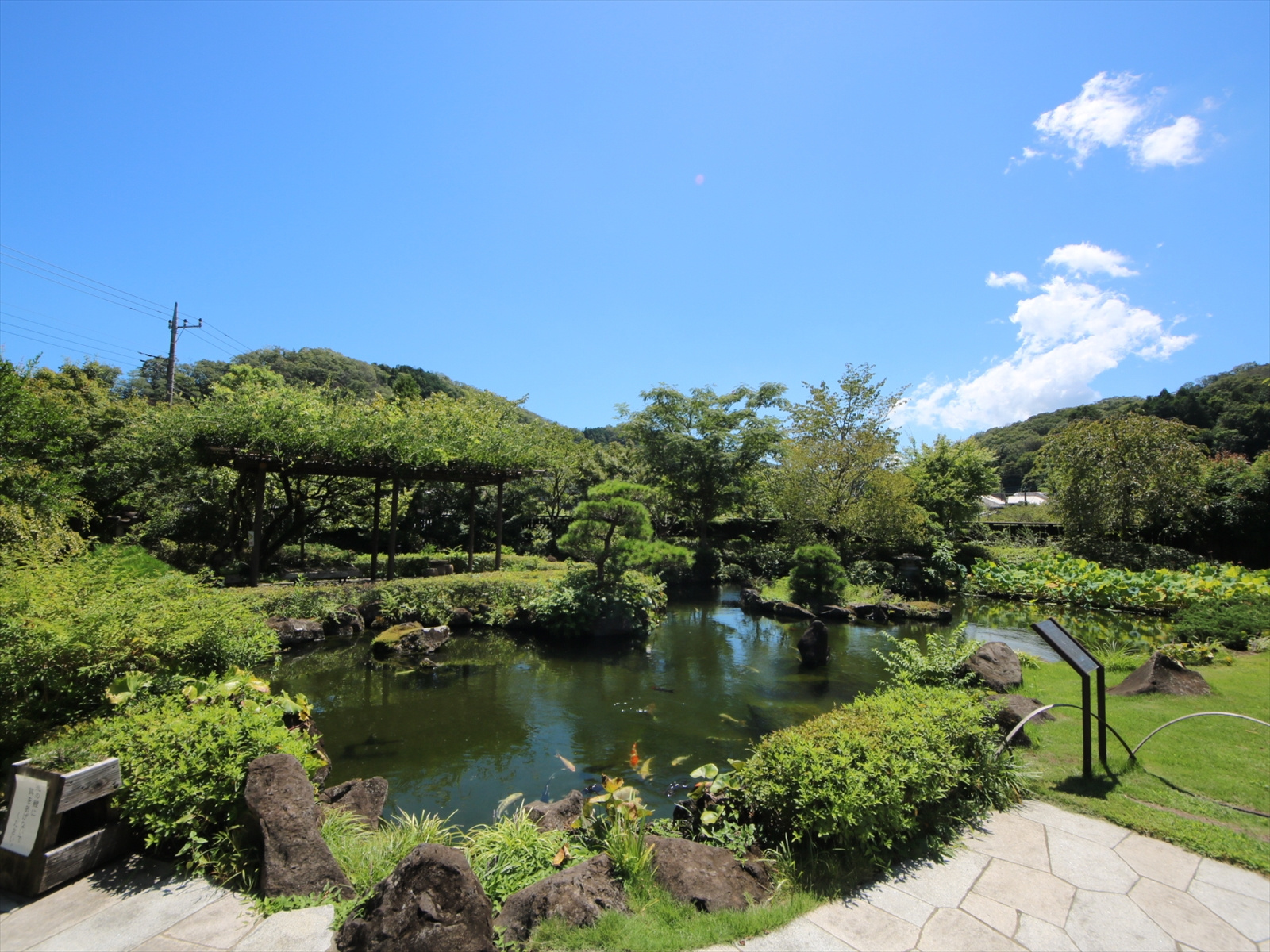 高尾駒木野庭園心字池