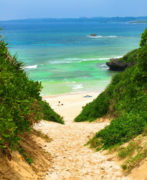 宮古諸島5島巡るモデルコースの画像