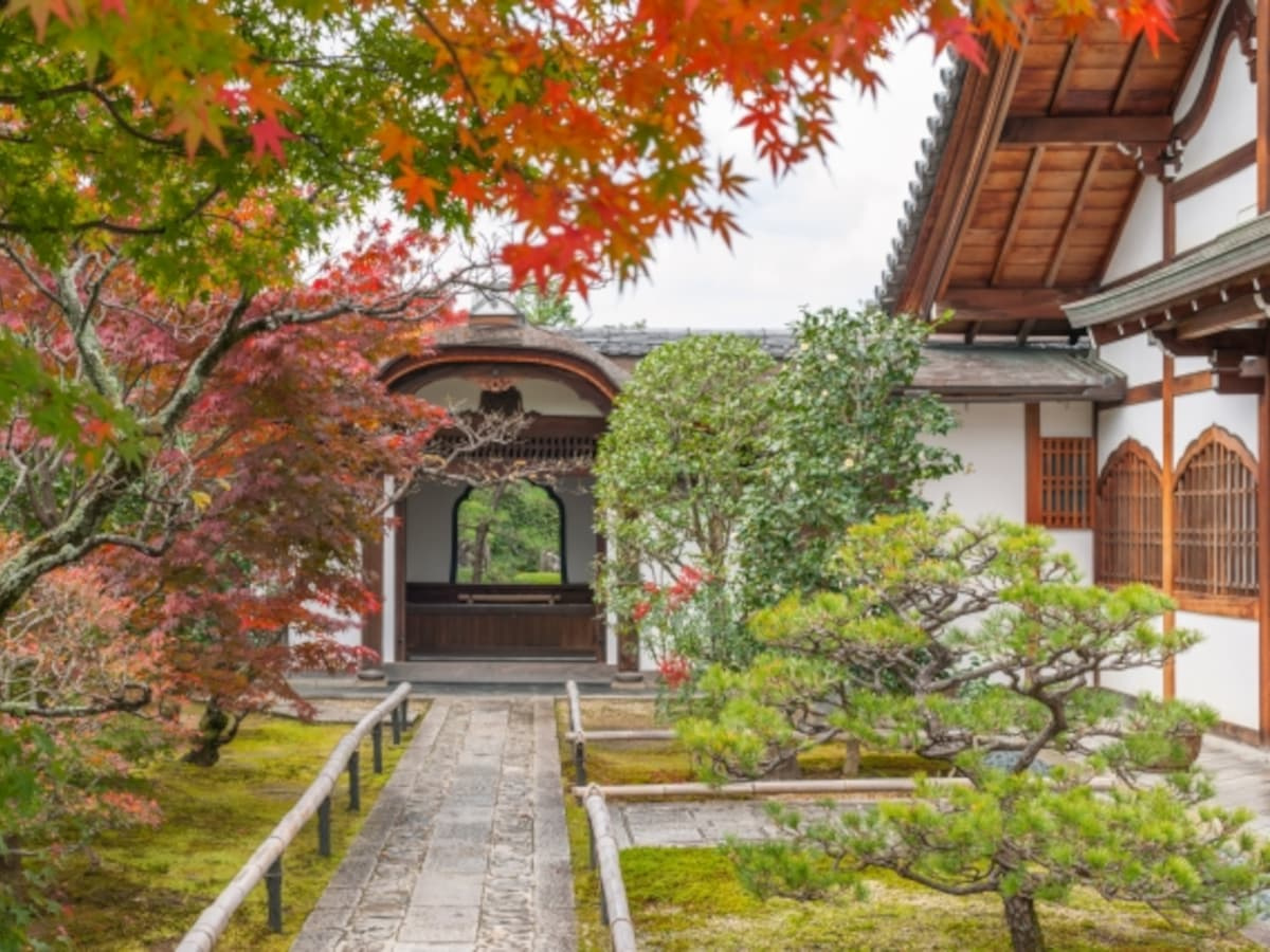 大徳寺興臨院　秋の特別公開の画像