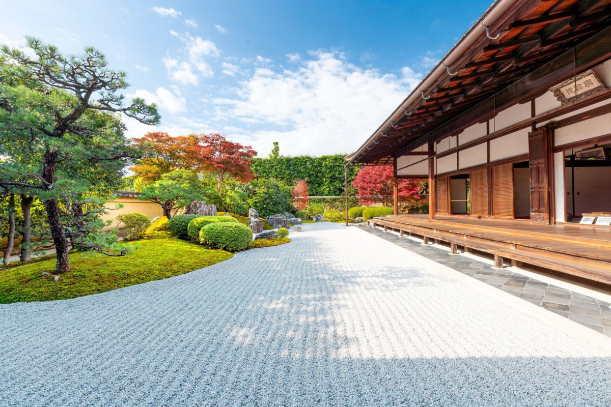 大徳寺興臨院　秋の特別公開の画像