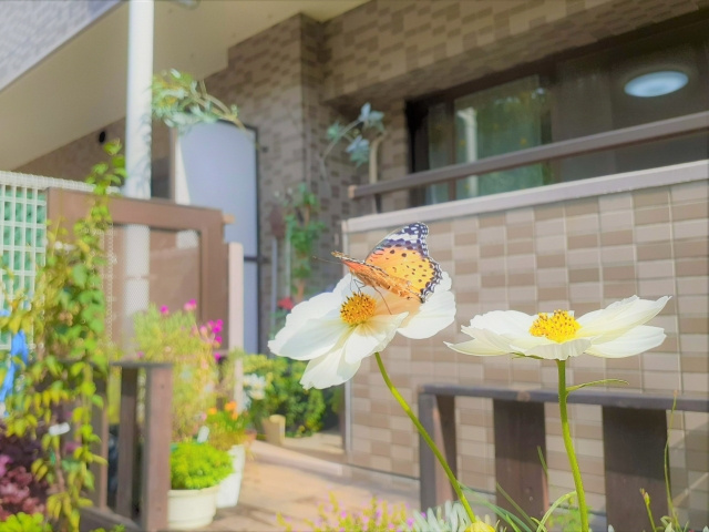 マンションの1階は売却しにくい？理由や住むメリット・売却のコ...の画像