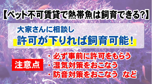 【ペット不可の賃貸住宅で熱帯魚は飼育できるのか？】禁止する理由や注意点！の画像