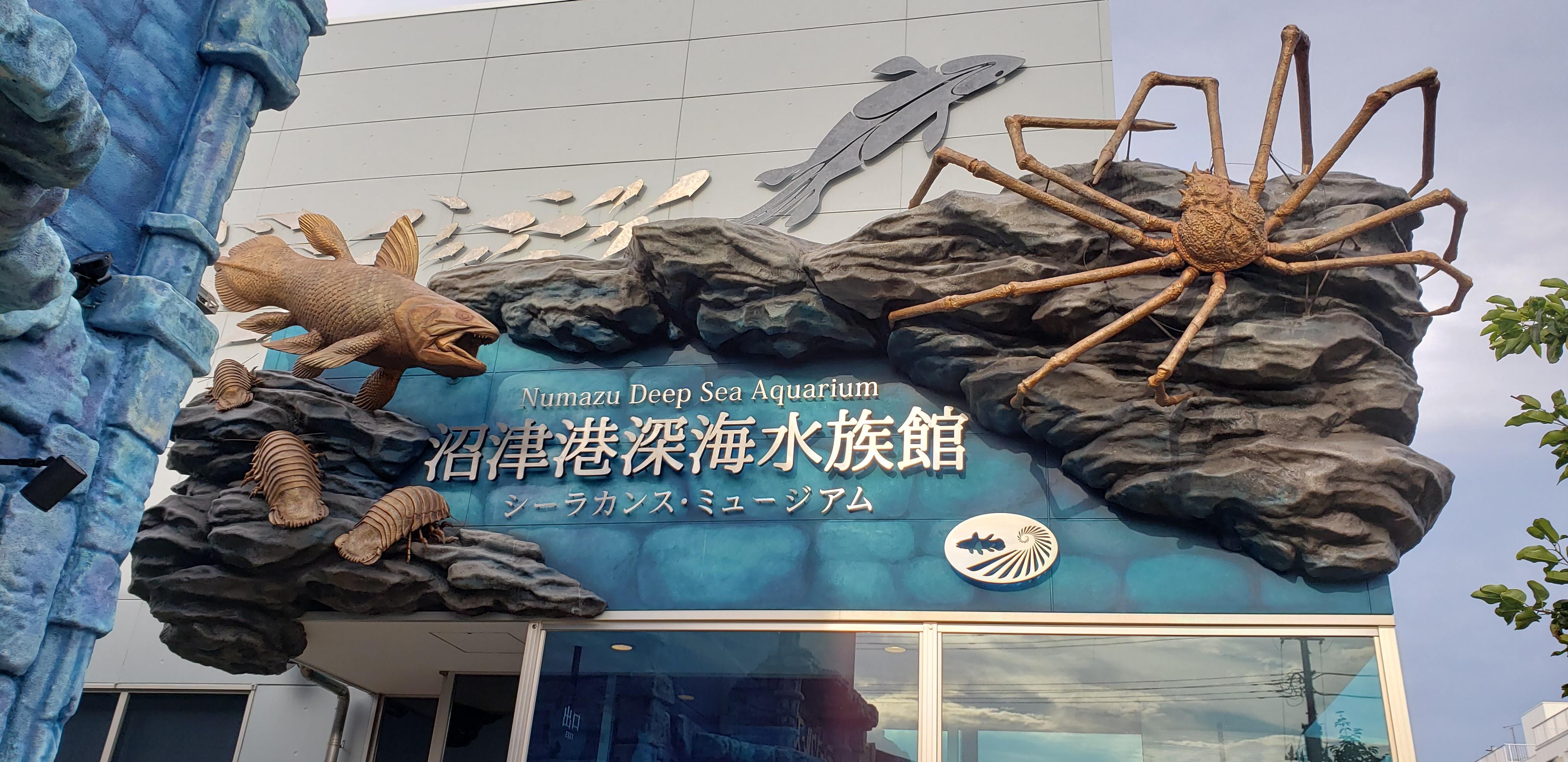 海底の宝石箱: 深海魚の不思議な世界の画像