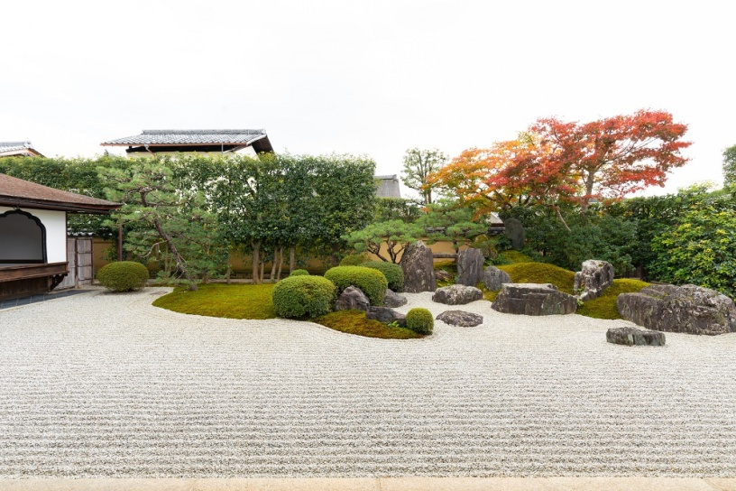 京都のおすすめスポット！の画像