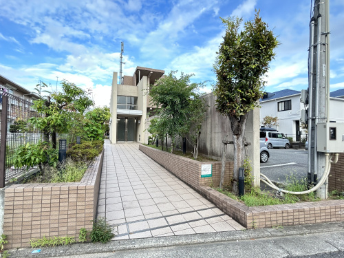 まだ真夏日ですね。の画像