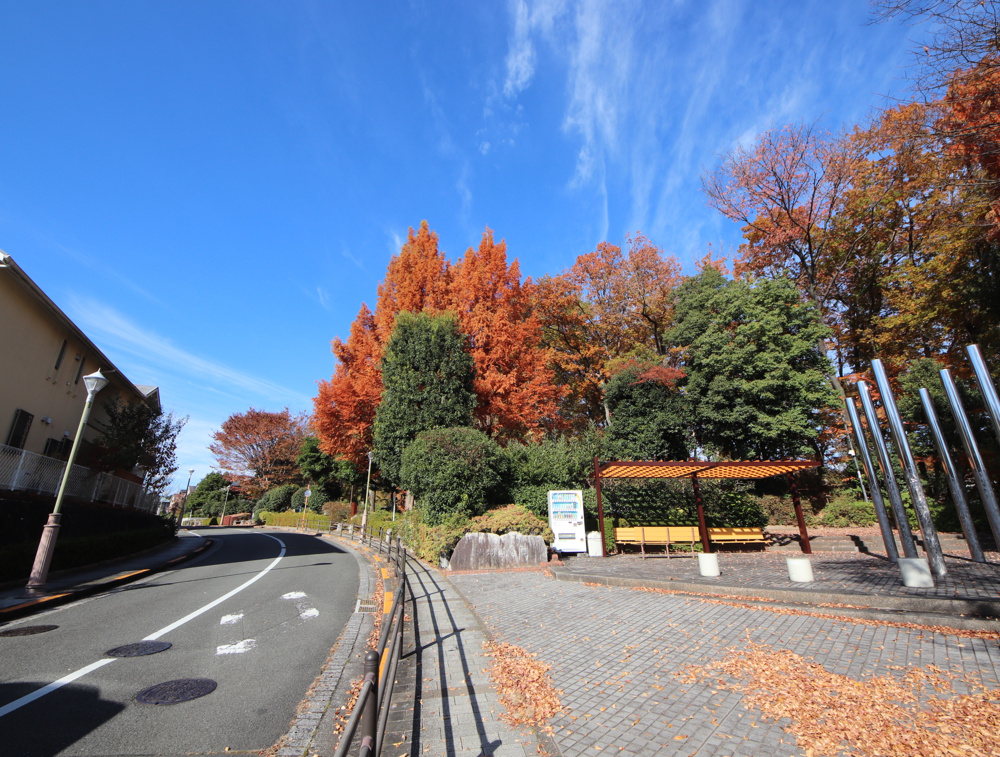 「城山手――八王子城下、現代の御屋敷街」の画像