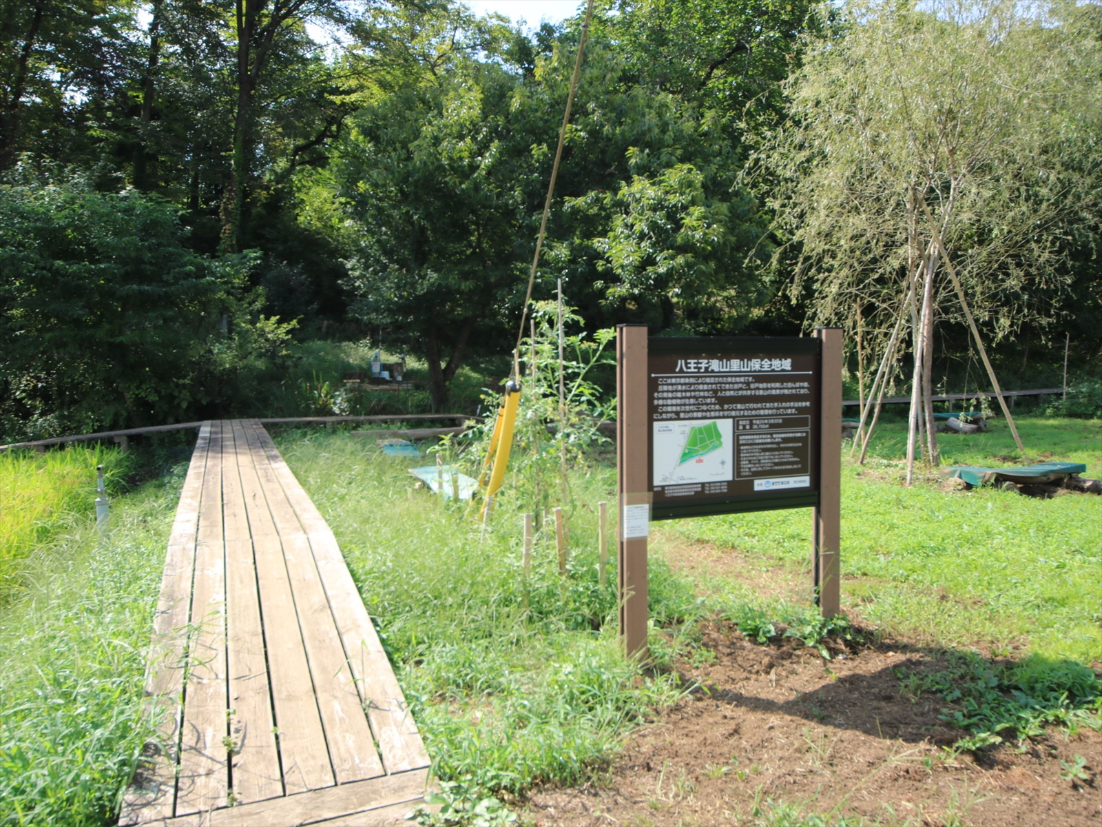 八王子滝山里山保全地域