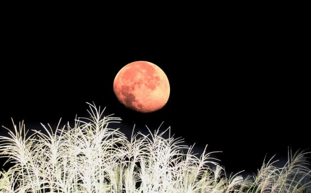 2023年の中秋の名月に思いをはせて･･･る場合じゃなかった...の画像