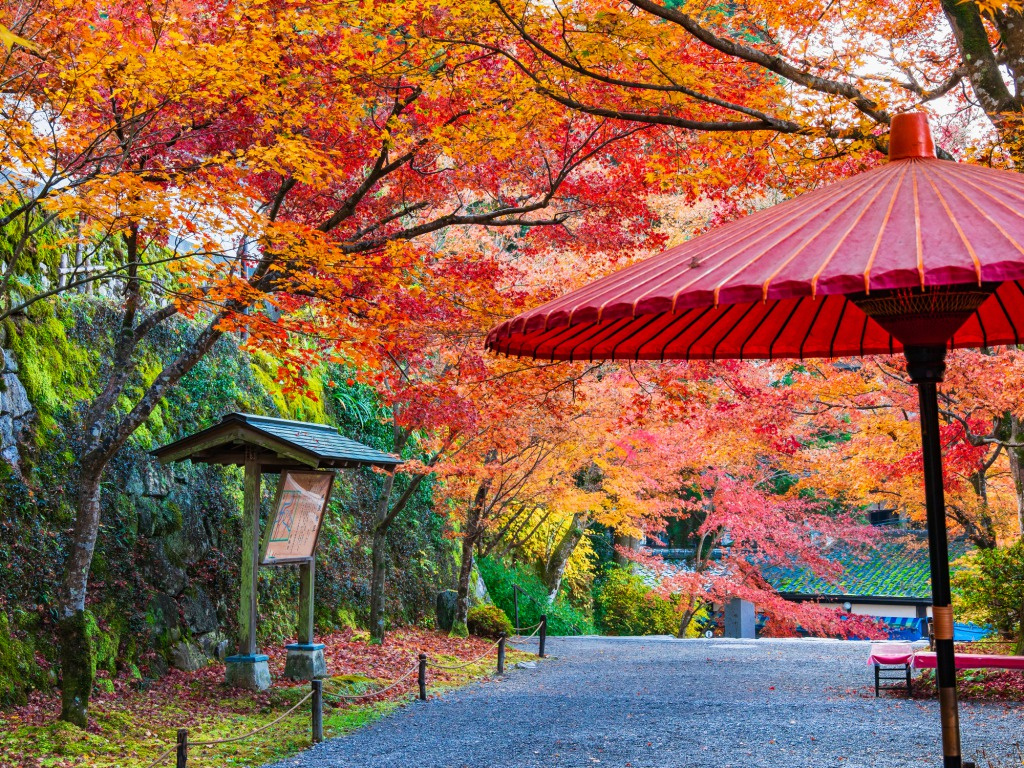 京都のおすすめスポット！の画像