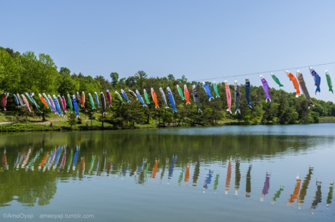 こどもの日の画像