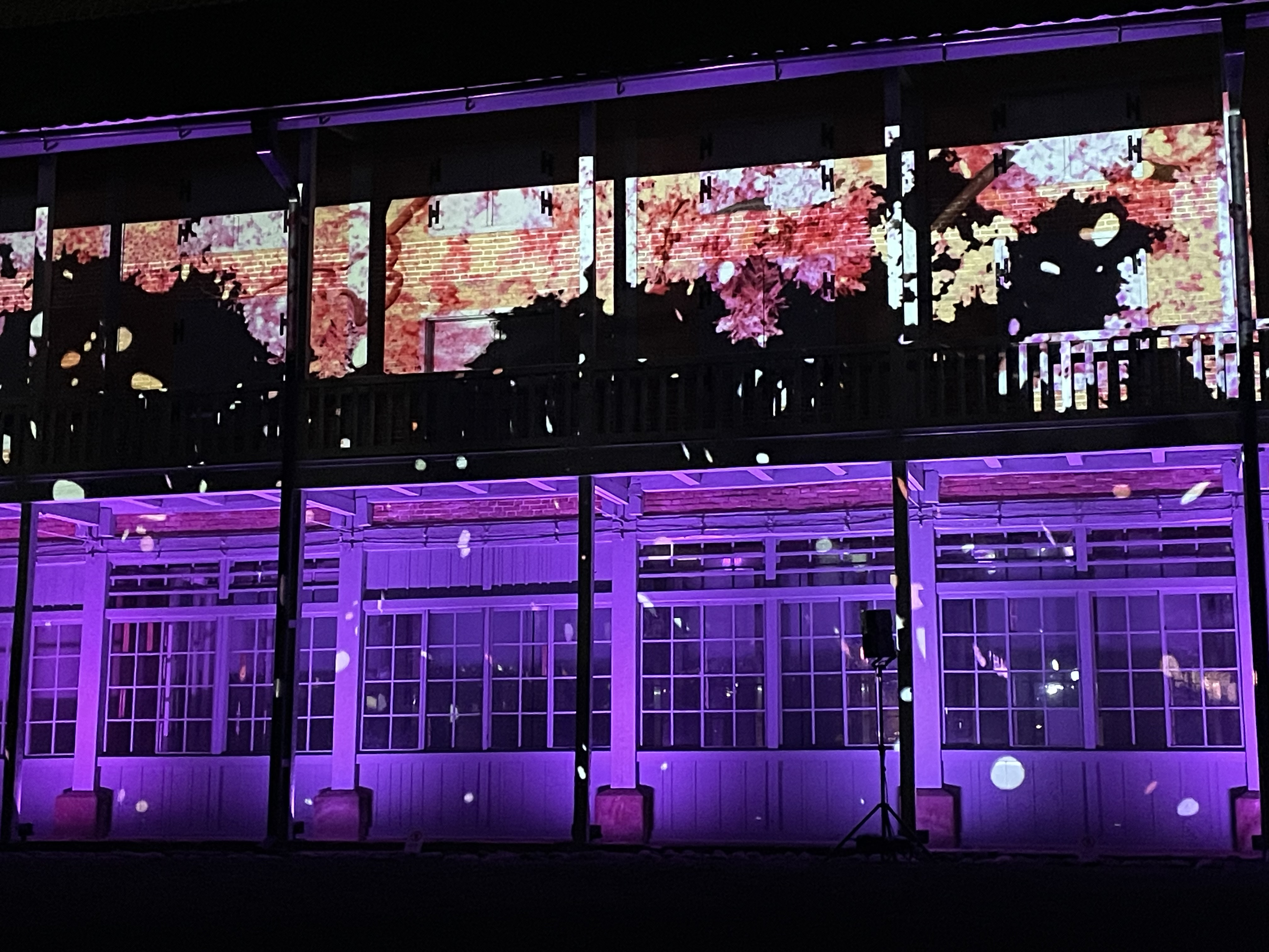 夜散歩☆彡　富岡製糸場プロジェクションマッピングの画像
