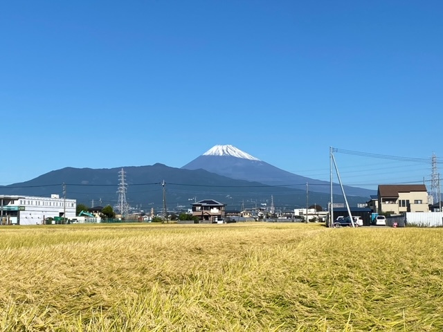 ウォーキング♪の画像