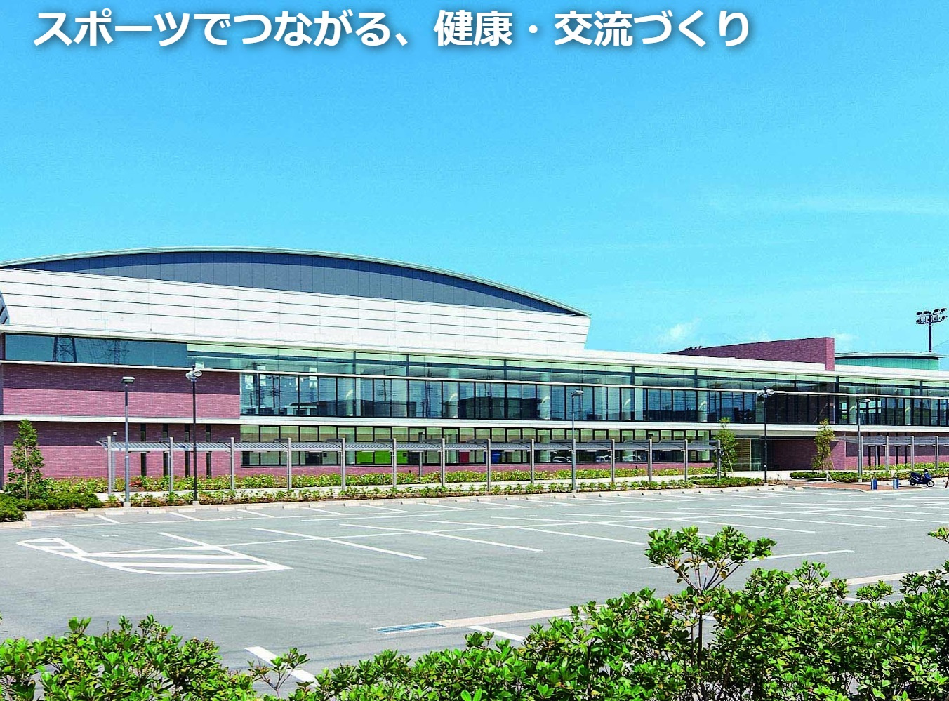 魂を燃やす前に体脂肪を燃やすの画像