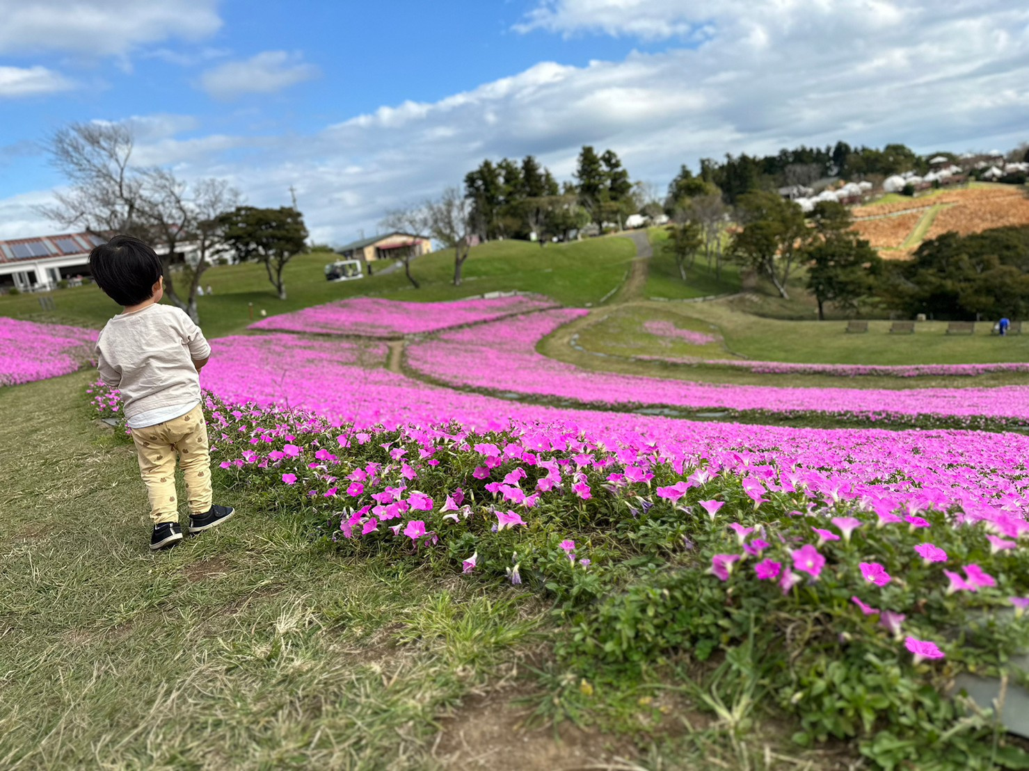 マザー牧場に行ってきました♪の画像