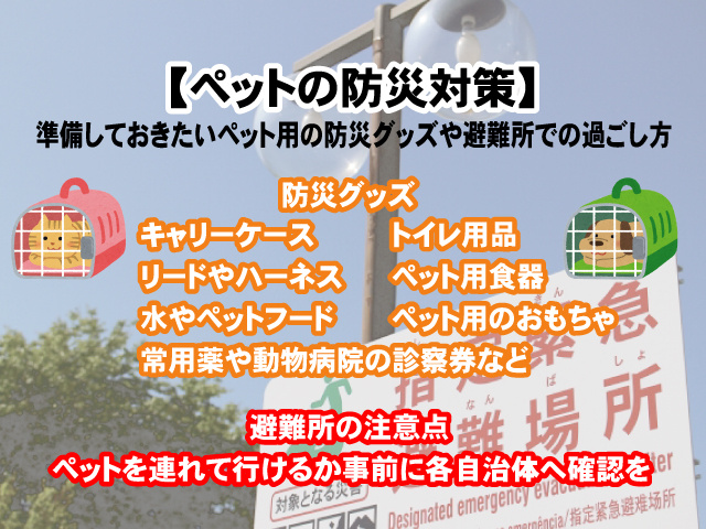 【ペットの防災対策】準備しておきたいペット用の防災グッズや、避難所での過ごし方の画像