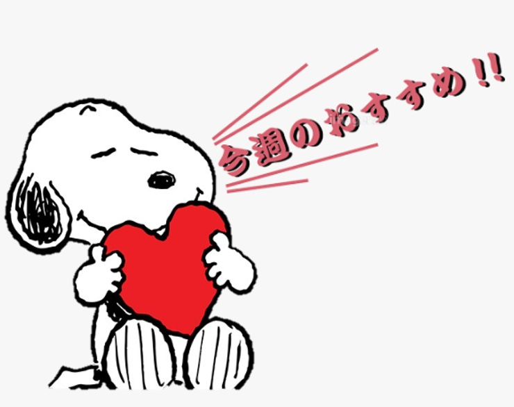 ☆千葉市若葉区都賀5丁目1期☆の画像