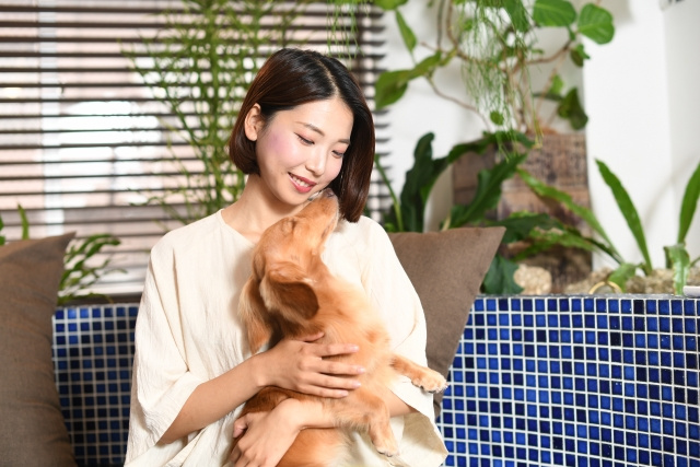 ペットを飼っているとマンションの査定額が下がる？査定時の注意点を解説！
