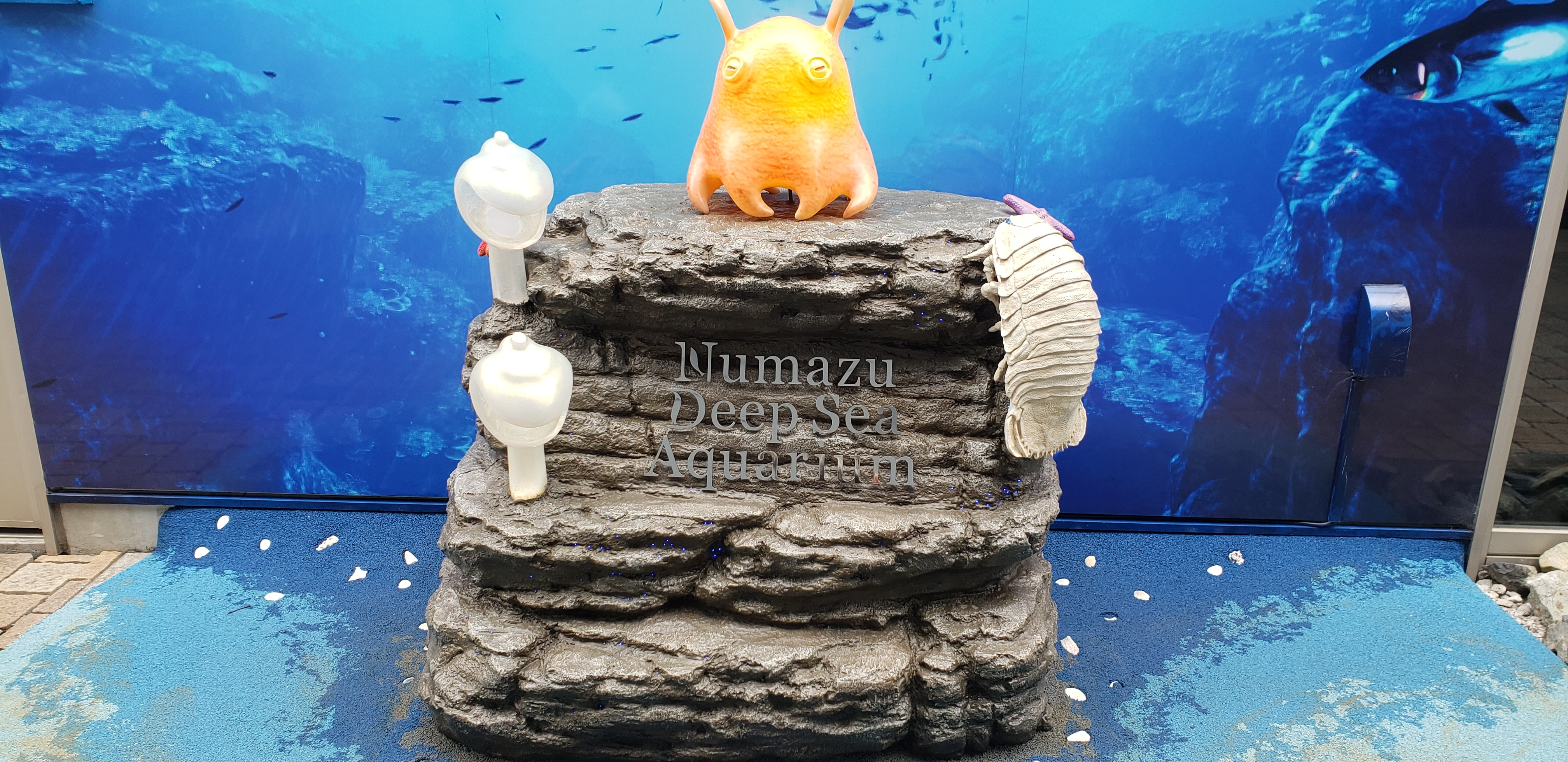 深海水族族館の神秘的な世界！の画像