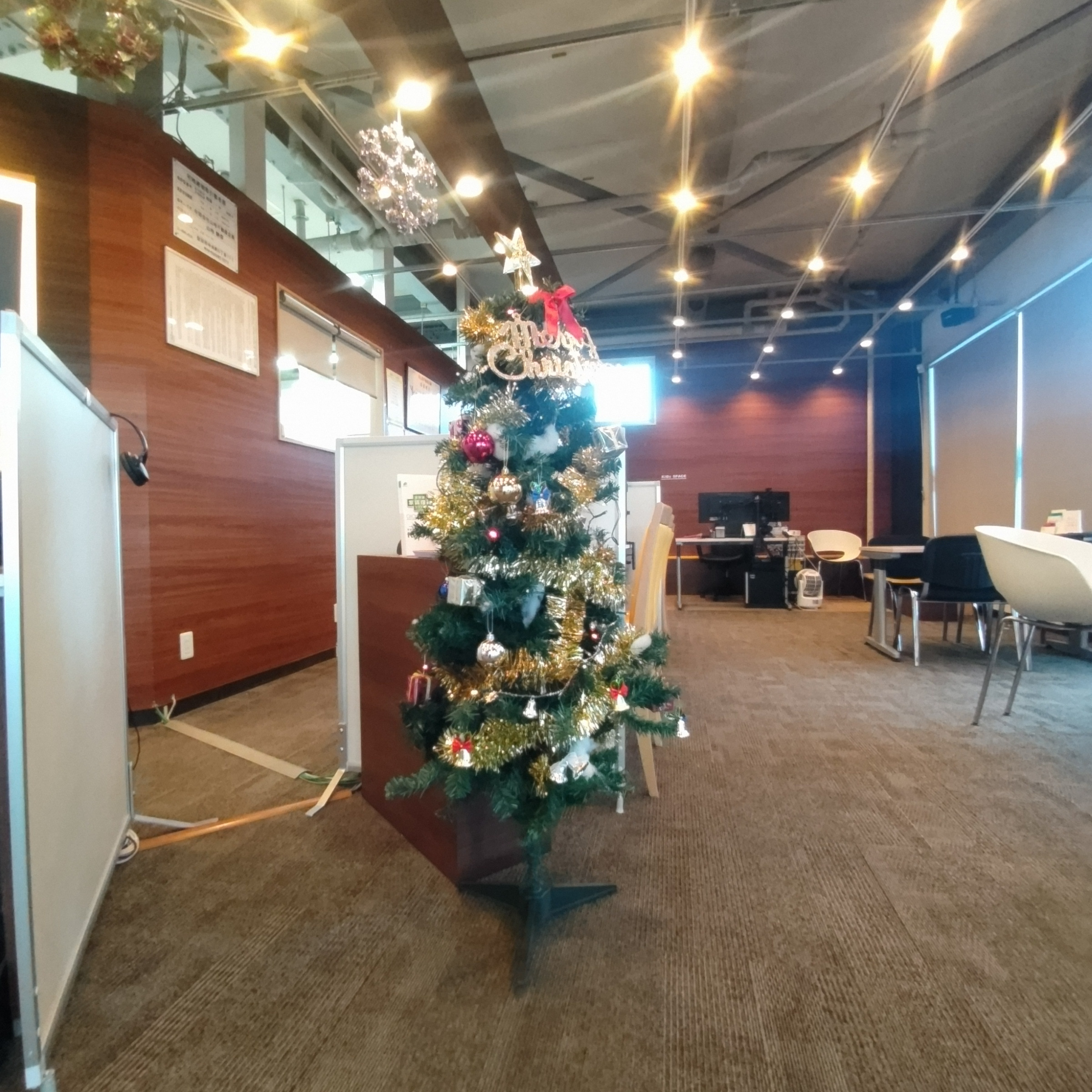 クリスマスツリーは飾りましたか？の画像