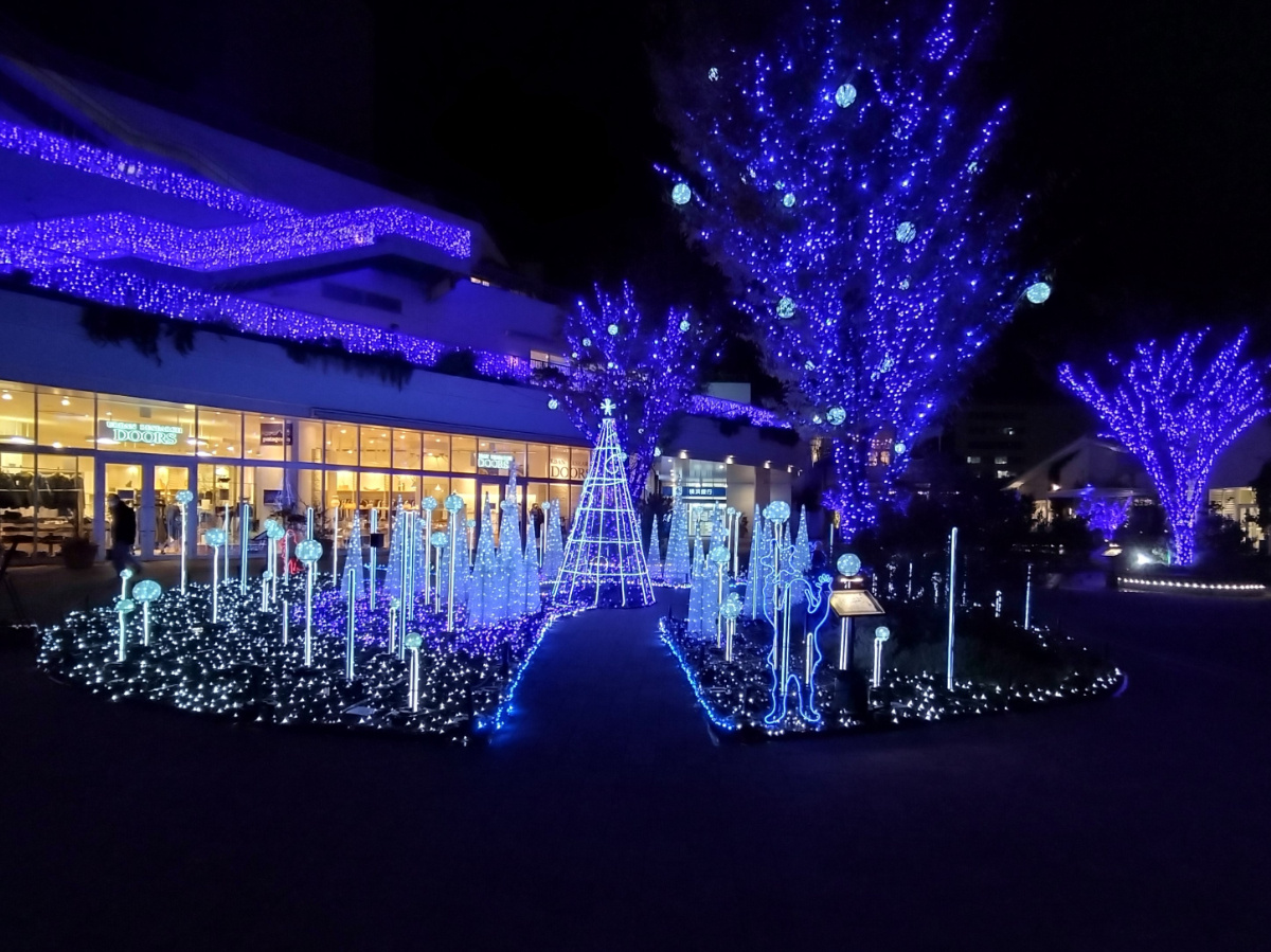 12人のサンタ（2023.11.27）の画像