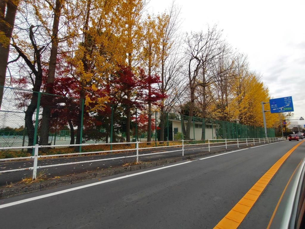 2023年 鎌倉の紅葉も終盤です！　【ホームメイトFC大船駅...の画像