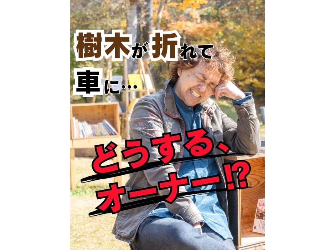 【樹木が折れて車がベコリ。。。どうするオーナー!?】～賃貸オ...の画像