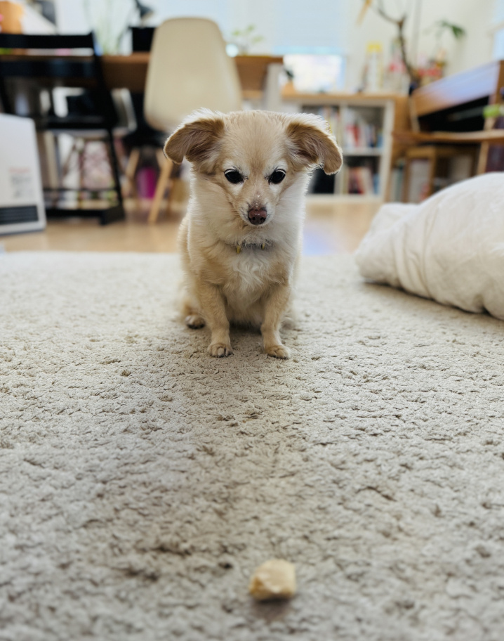 マテ！の画像