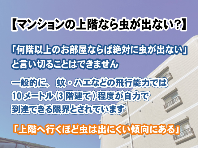 【マンションの上階なら虫が出ない？】お部屋の虫対策は？の画像