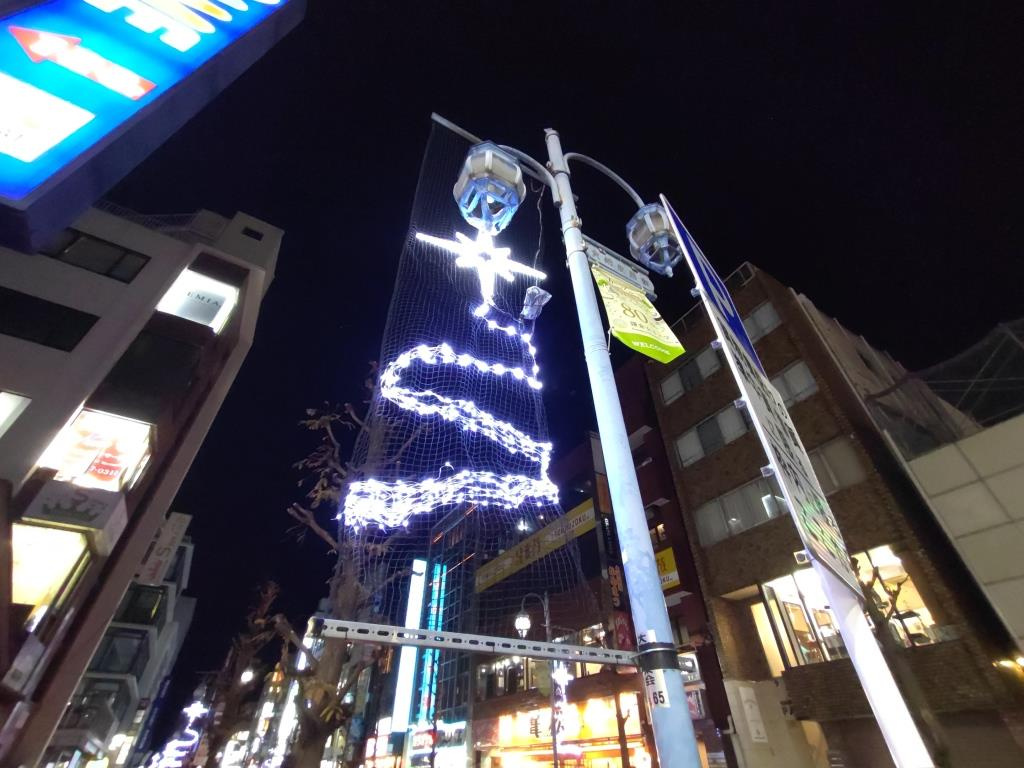大船 イルミネーション 2023｜芸術館通り　【ホームメイト...の画像