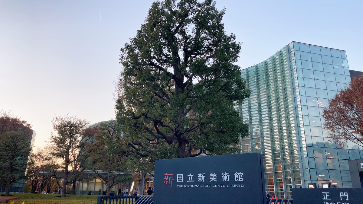 ＊新国立新美術館とイルミネーション＊の画像