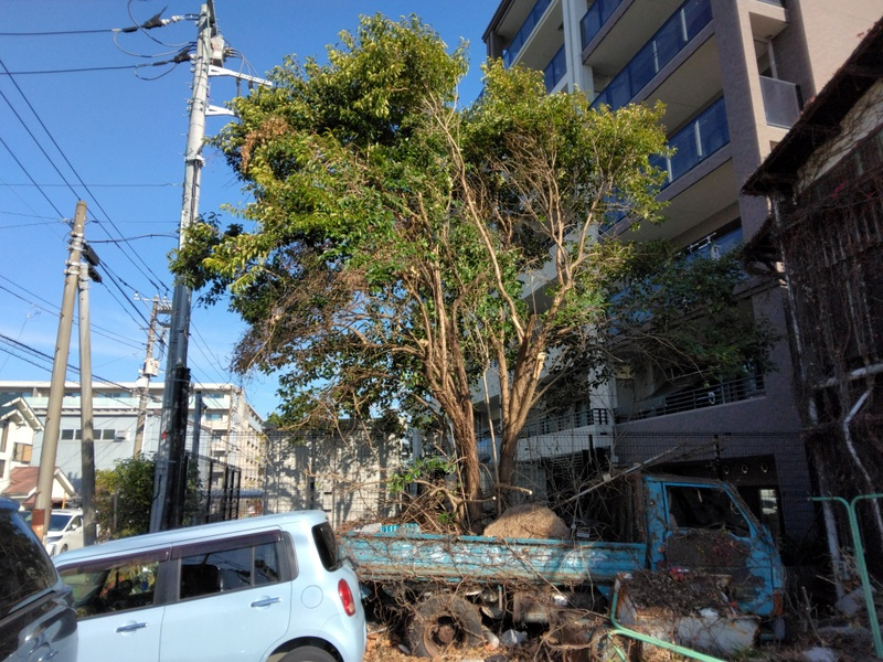 「トラックは植木鉢？」　【ホームメイト大船駅前店　ジェイワン...の画像