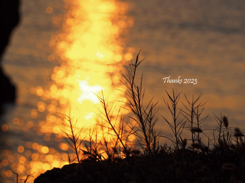 Thanks2023！（2023.12.26）の画像