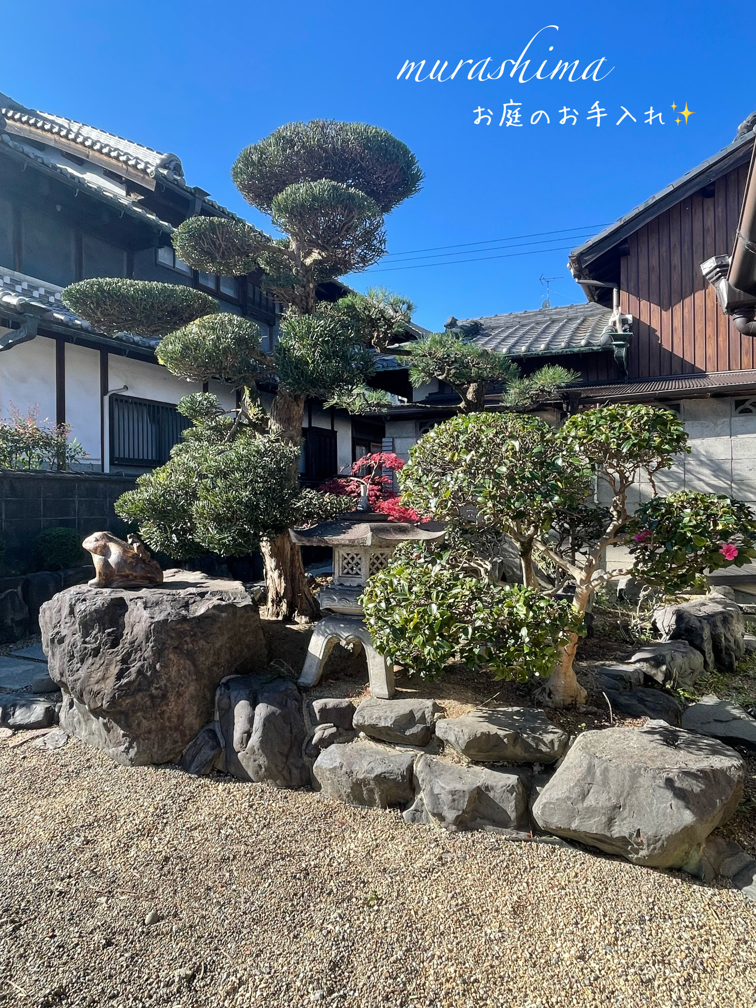 年末にむけてお庭のお手入れをさせていただきました(^^)/の画像