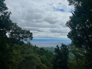 初日の出の画像
