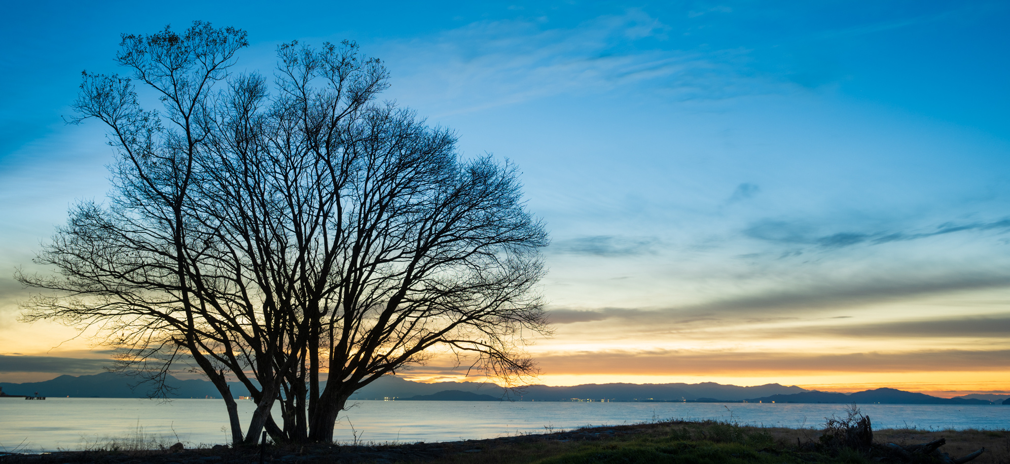 新年のご挨拶の画像