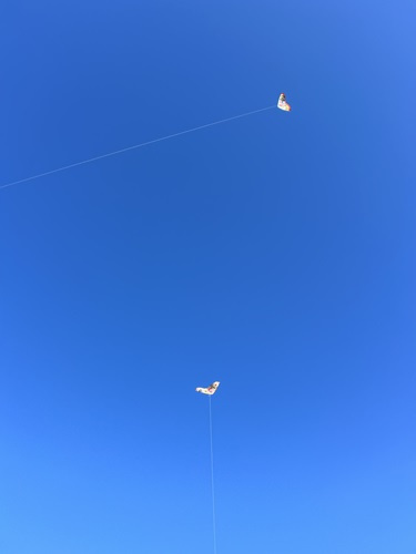 新年のご挨拶の画像
