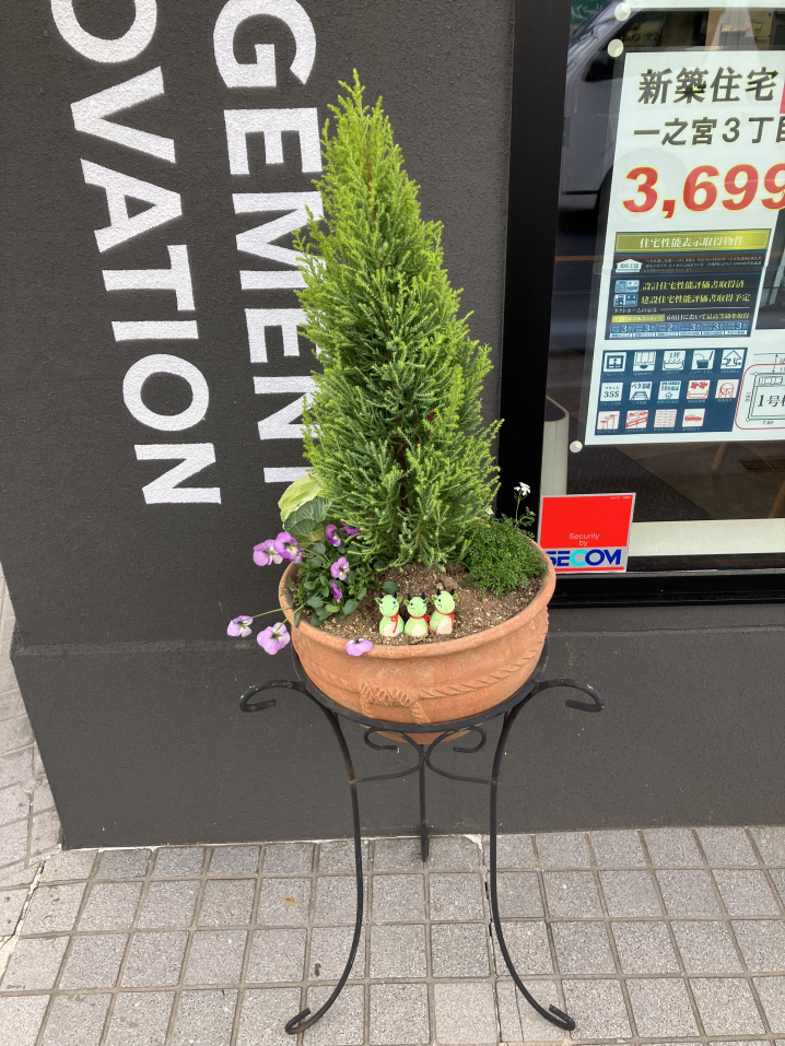 店頭のお花がリニューアルされました。の画像