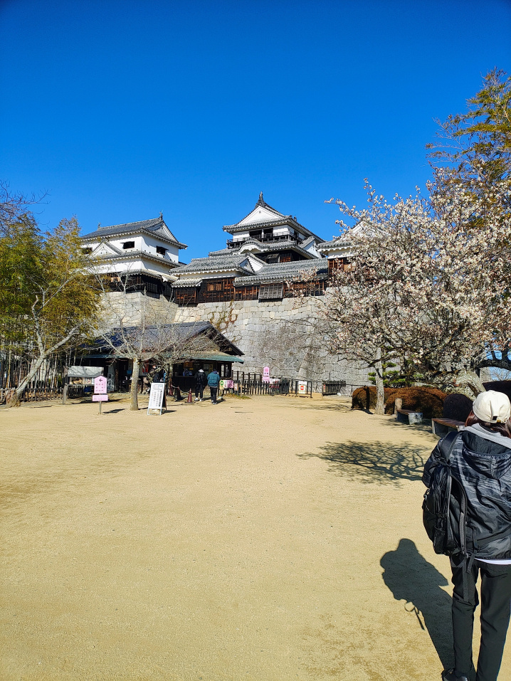 松山城登山の画像