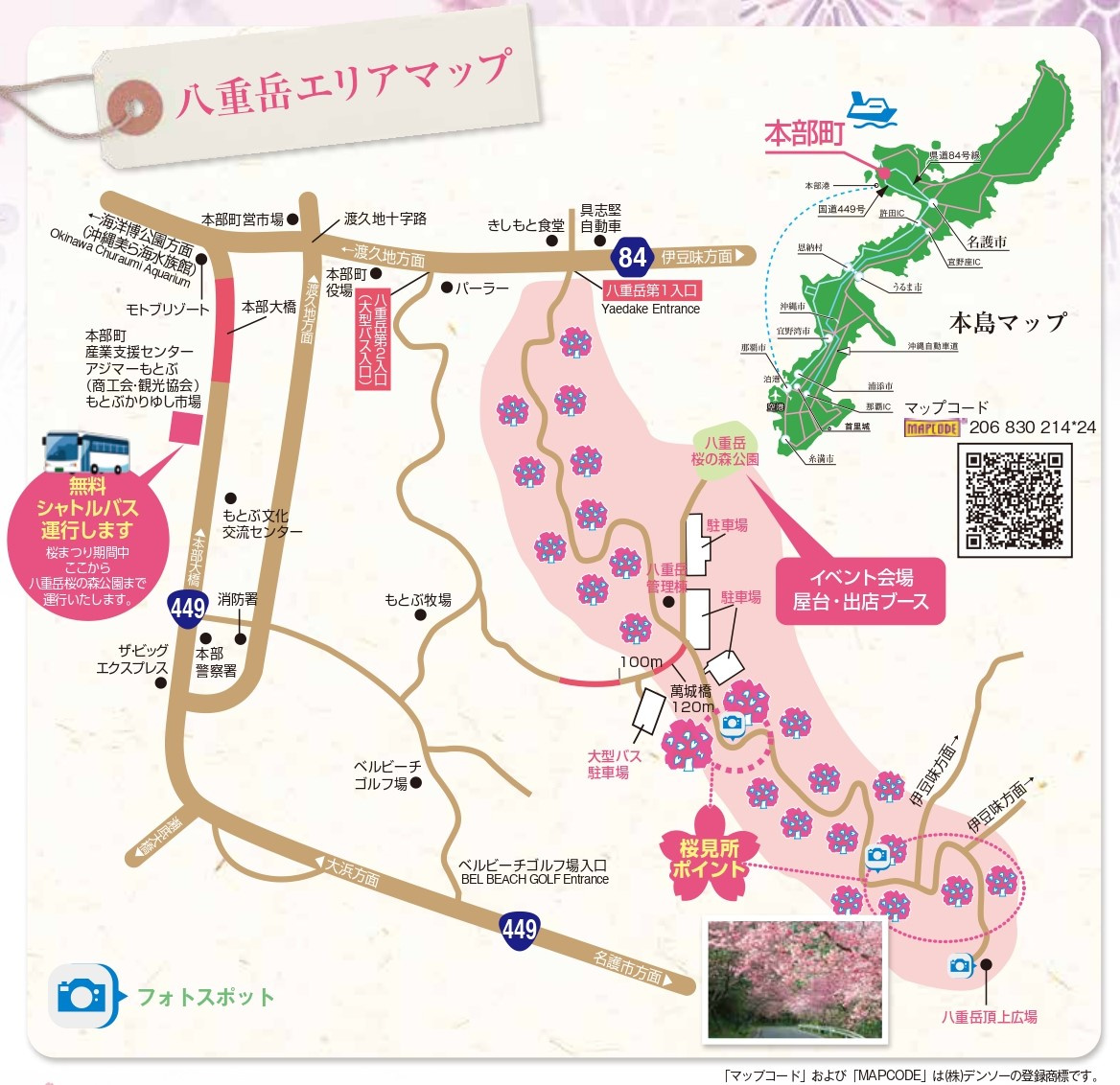 日本一早い!!沖縄のさくら祭りの画像