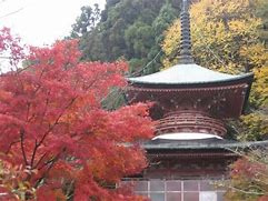 京都のおすすめスポット！の画像