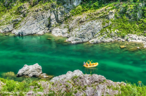 ラフティングの画像