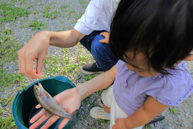 鹿沼市にある「フィッシングリゾート上永野」とは？概要と特徴を...の画像