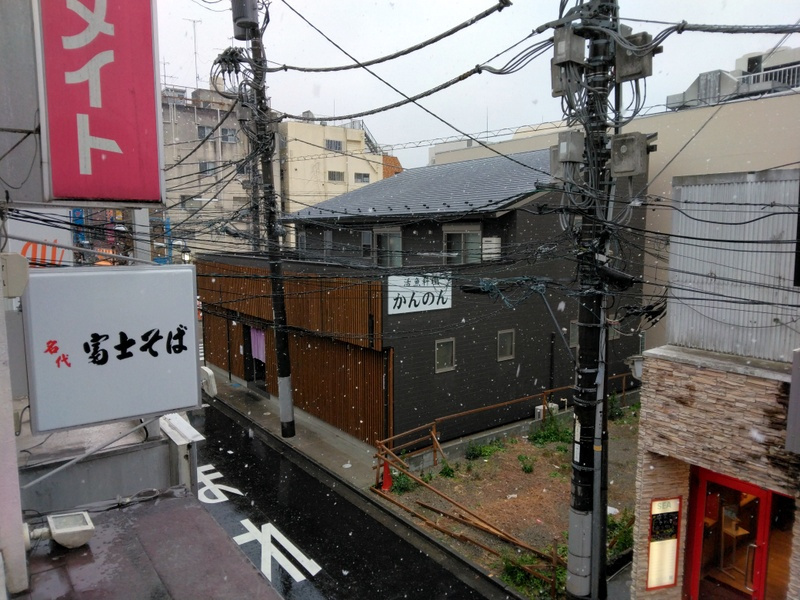 「雪にはダサいぜ！」　【ホームメイト大船駅前店　ジェイワンの...の画像