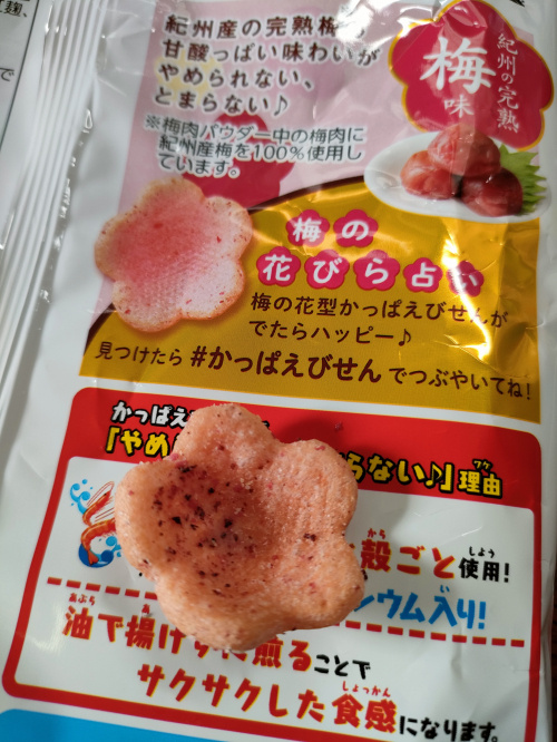 ブライトハイムE棟の画像