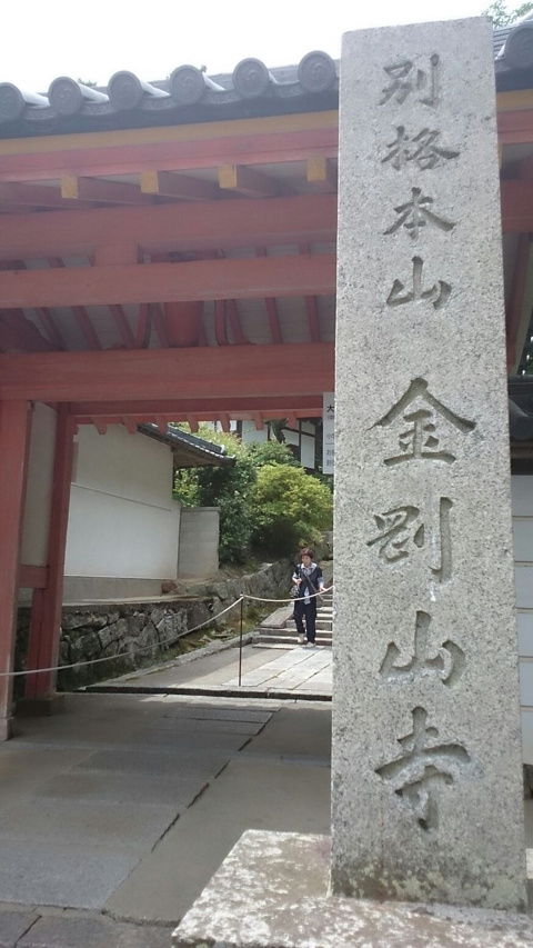 奈良　矢田寺あじさいの画像
