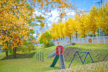 緑豊かな風景が広がる北見市の情報をご紹介♪の画像