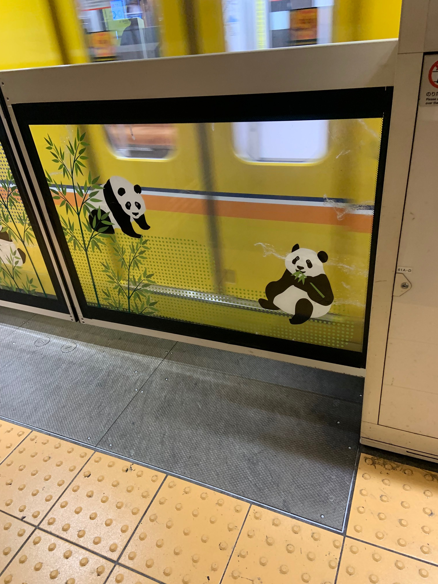 大熊猫の画像
