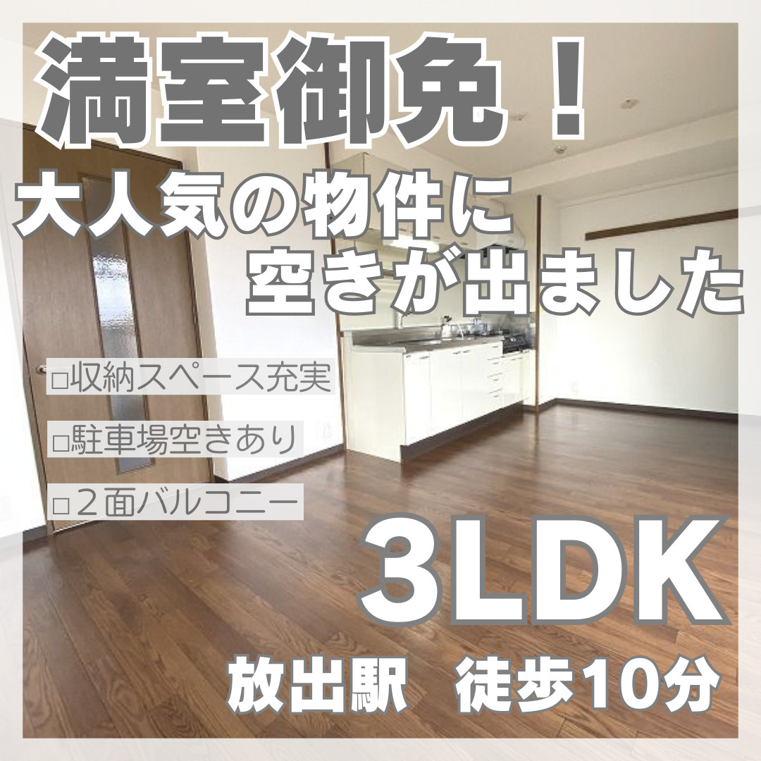 駐車場空きあり！南向き3LDKが8万円台【デイブレイク城東】...の画像