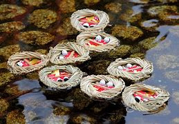 京都のおすすめスポット！の画像